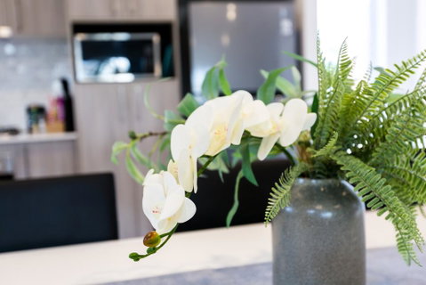 Wagga Apartments #5 - Accommodation Gladstone 3