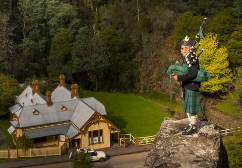 Walhalla Wild Cherry - Accommodation Gladstone 2