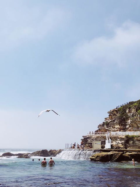 Walk To Beach From This Stylish Bronte Oasis W AC, Wifi And Free Parking - Accommodation Gladstone 3