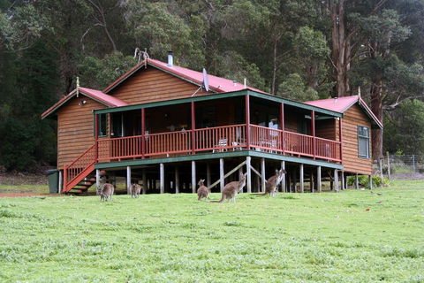 Walpole Wilderness Resort - Accommodation Gladstone 1