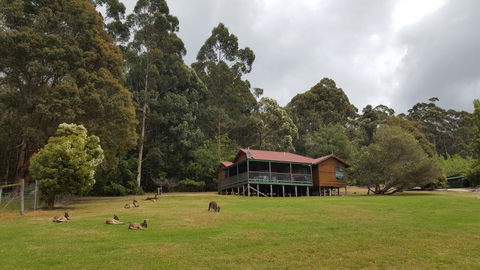 Walpole Wilderness Resort - Accommodation Gladstone 0