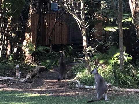 Wanderers Retreat - Accommodation Gladstone 2