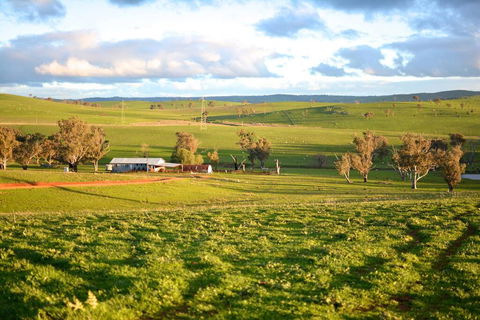 Wantana Cottage Farmstay - Accommodation Gladstone 0