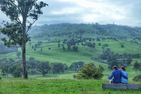 Waterfall Way Farmstay - Accommodation Gladstone 2
