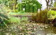 Waterhouse - thumb 1