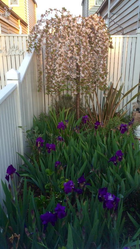 Redruth Cottage - Accommodation Gladstone 24