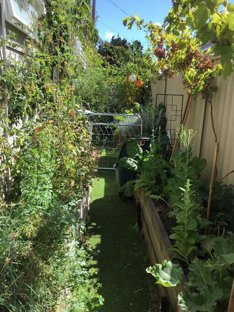 Redruth Cottage - Accommodation Gladstone 7
