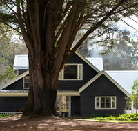 The Orchard - Accommodation Gladstone