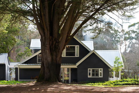 The Orchard - Accommodation Gladstone 0