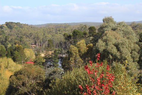 The Orchard - Accommodation Gladstone 28