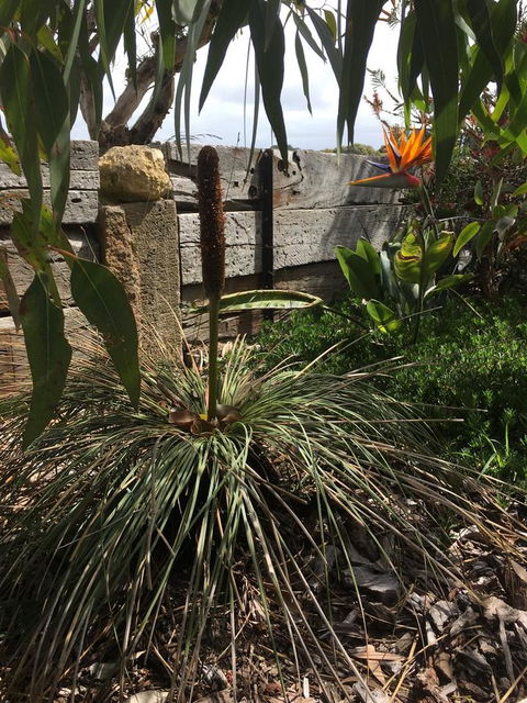 The PC Cottage - Accommodation Gladstone 32