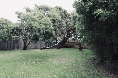 Red Ceder Cottage - Great Ocean Road - Port Campbell - Accommodation Gladstone 24