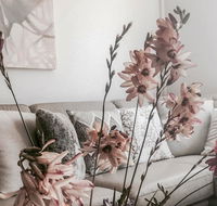 Bed of Roses - Accommodation Gladstone