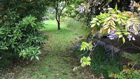 Lorelei Bed & Breakfast - Accommodation Gladstone 10
