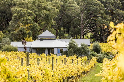 Polperro Villas - Accommodation Gladstone 22