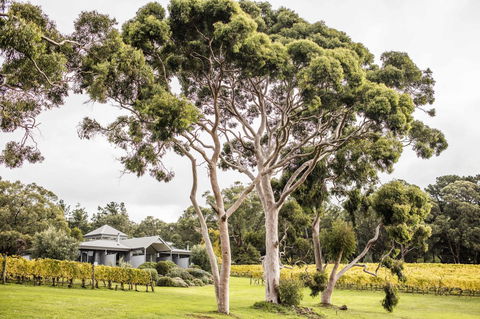 Polperro Villas - Accommodation Gladstone 20