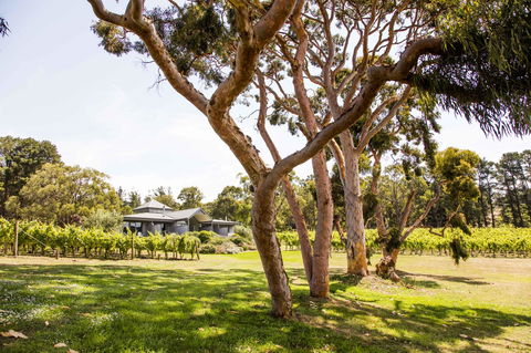 Polperro Villas - Accommodation Gladstone 17