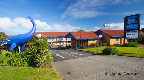 Blue Whale Motor Inn & Apartments - Accommodation Gladstone 0