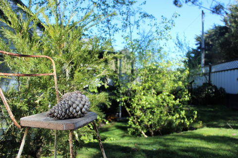 Cottage 4A - Accommodation Gladstone 13