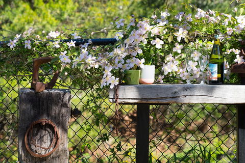 Cottage 4A - Accommodation Gladstone 4