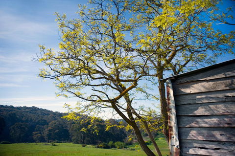 Cabrito - Accommodation Gladstone 9