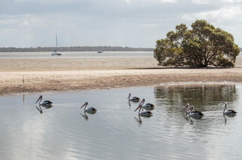 BIG4 Breeze Holiday Parks - Rainbow Beach - Accommodation Gladstone 32