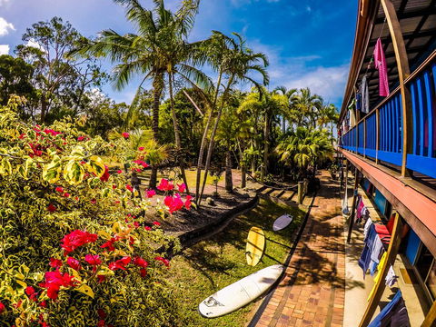 Cool Bananas Backpackers - Accommodation Gladstone 17