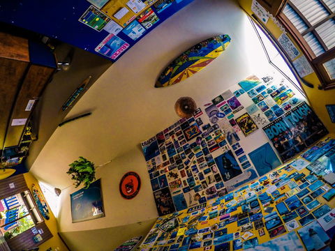 Cool Bananas Backpackers - Accommodation Gladstone 29