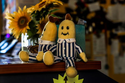 Cool Bananas Backpackers - Accommodation Gladstone 30