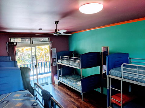 Cool Bananas Backpackers - Accommodation Gladstone 5