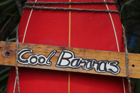 Cool Bananas Backpackers - Accommodation Gladstone 41