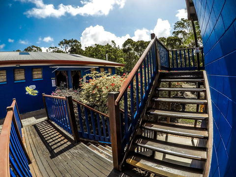 Cool Bananas Backpackers - Accommodation Gladstone 27