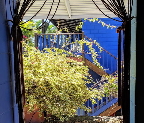 Cool Bananas Backpackers - Accommodation Gladstone 10