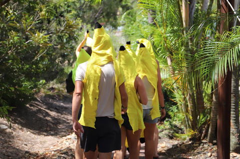 Cool Bananas Backpackers - Accommodation Gladstone 19