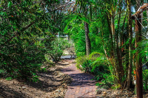 Cool Bananas Backpackers - Accommodation Gladstone 15