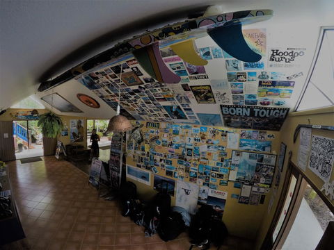 Cool Bananas Backpackers - Accommodation Gladstone 31