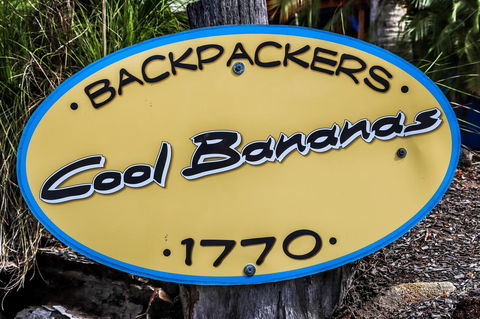 Cool Bananas Backpackers - Accommodation Gladstone 38