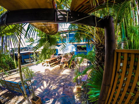 Cool Bananas Backpackers - Accommodation Gladstone 0