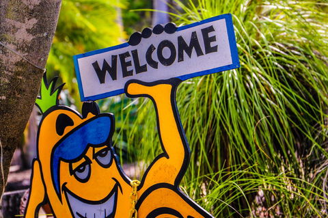 Cool Bananas Backpackers - Accommodation Gladstone 37