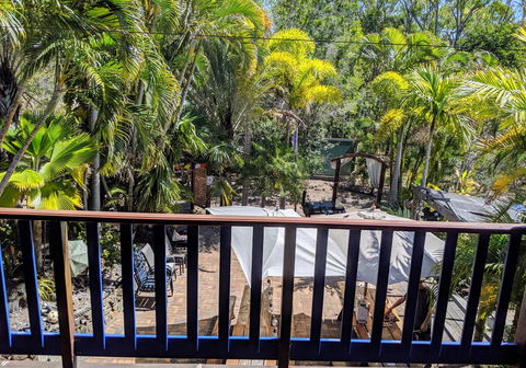 Cool Bananas Backpackers - Accommodation Gladstone 4