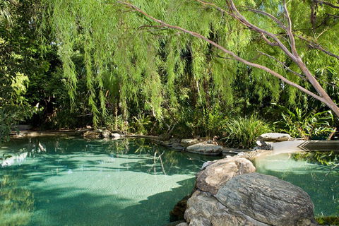 Thala Beach Nature Reserve - Accommodation Gladstone 30