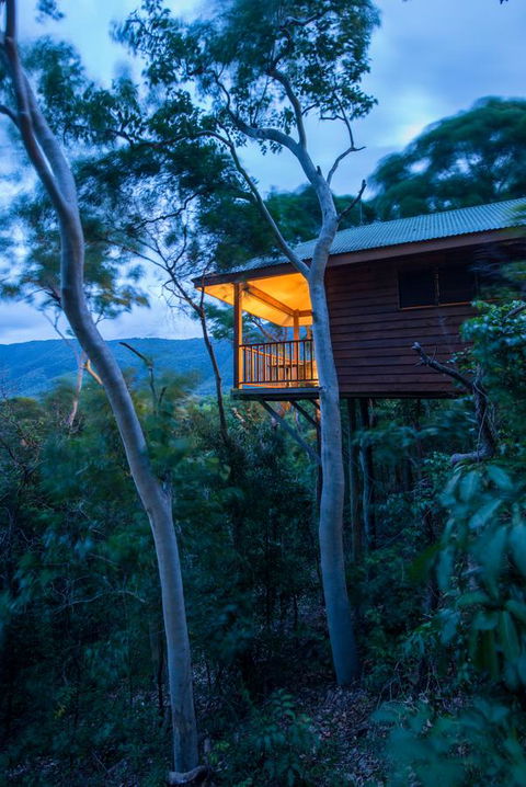 Thala Beach Nature Reserve - Accommodation Gladstone 19
