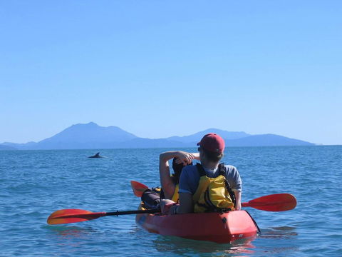 Thala Beach Nature Reserve - Accommodation Gladstone 44