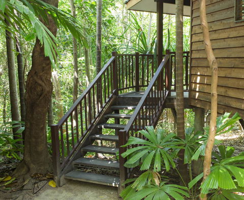 Thala Beach Nature Reserve - Accommodation Gladstone 22