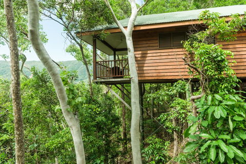 Thala Beach Nature Reserve - Accommodation Gladstone 17