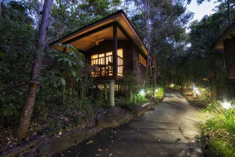 Thala Beach Nature Reserve - Accommodation Gladstone 20