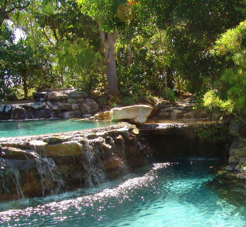 Thala Beach Nature Reserve - Accommodation Gladstone 29
