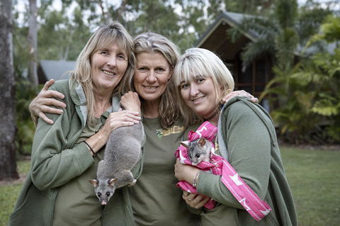 Airlie Beach Eco Cabins - Adults Only - Accommodation Gladstone 23