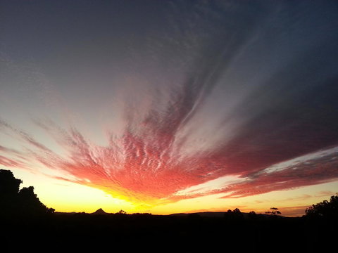 Ivory Palms Resort Noosa - Accommodation Gladstone 13