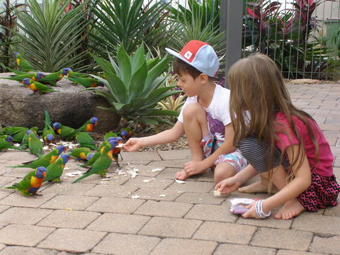 Island Leisure Resort - Accommodation Gladstone 25
